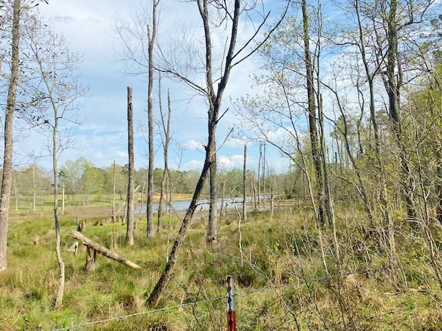 72 Eddie Webb Road Tylertown, MS 39667 - Photo 14 of 29 Photo 14