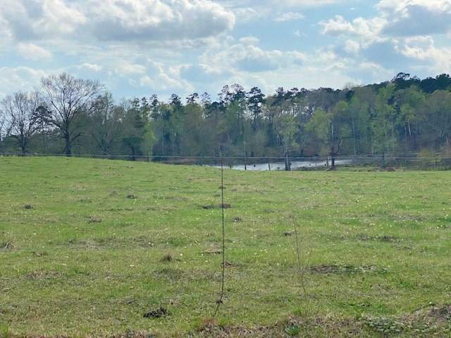 72 Eddie Webb Road Tylertown, MS 39667 - Photo 15 of 29 Photo 15