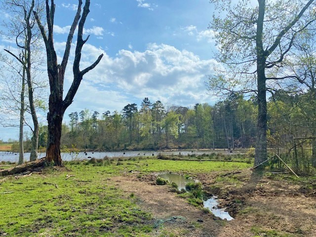 72 Eddie Webb Road Tylertown, MS 39667 - Photo 16 of 29 Photo 16