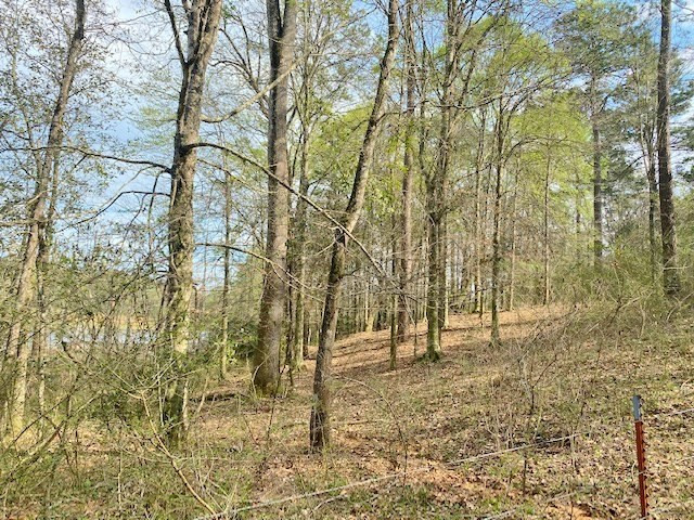 72 Eddie Webb Road Tylertown, MS 39667 - Photo 17 of 29 Photo 17