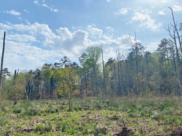 72 Eddie Webb Road Tylertown, MS 39667 - Photo 18 of 29 Photo 18