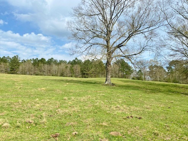 72 Eddie Webb Road Tylertown, MS 39667 - Photo 19 of 29 Photo 19