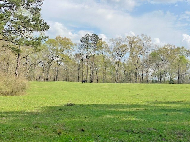 72 Eddie Webb Road Tylertown, MS 39667 - Photo 21 of 29 Photo 21