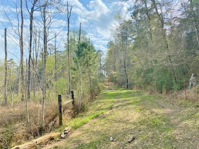72 Eddie Webb Road Tylertown, MS 39667 - Photo 24 of 29 Photo 24