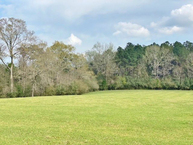72 Eddie Webb Road Tylertown, MS 39667 - Photo 25 of 29 Photo 25