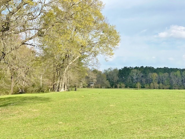 72 Eddie Webb Road Tylertown, MS 39667 - Photo 4 of 29 Photo 4
