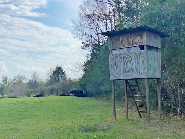 72 Eddie Webb Road Tylertown, MS 39667 - Photo 6 of 29 Photo 6