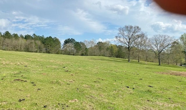 72 Eddie Webb Road Tylertown, MS 39667 - Photo 8 of 29 Photo 8
