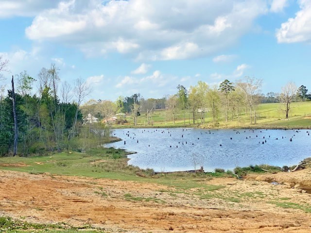 72 Eddie Webb Road Tylertown, MS 39667 - Photo 9 of 29 Photo 9