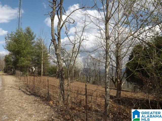 8455 Pine Mountain Road Springville, AL 35146 - Photo 11 of 39 Gallery Image 11