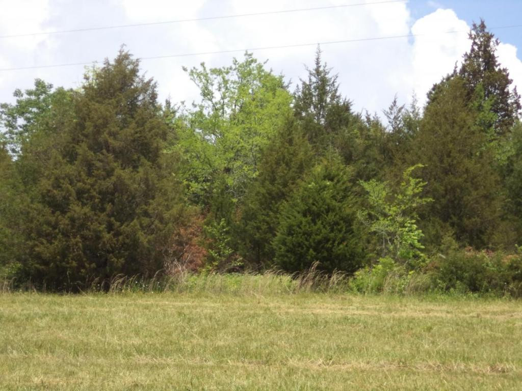 Tbd Tbd Little Warrensburg Road Midway, TN 37809 - Photo 5 of 7 Photo 5