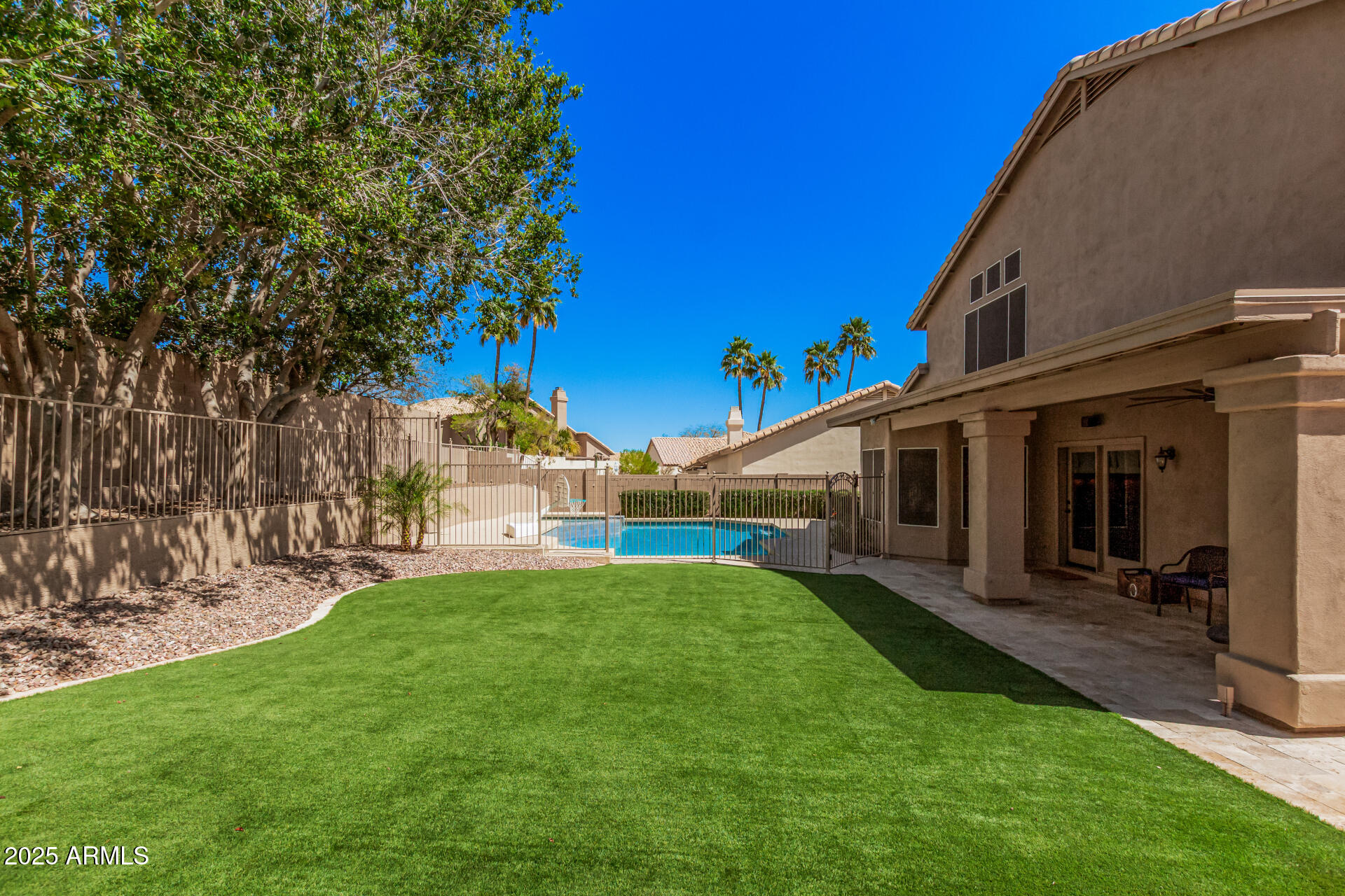 2108 East Tecoma Road Phoenix, AZ 85048 - Photo 47 of 57 Extablished Ficus Trees