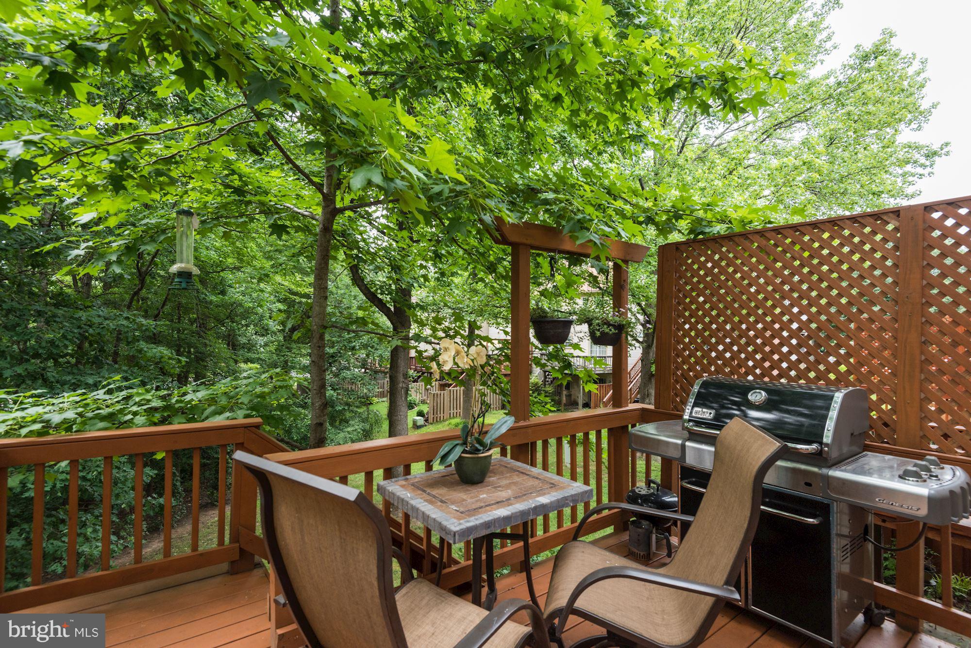 11943 Sentinel Point Court Reston, VA 20191 - Photo 10 of 27 Relax on the Deck w/Private Treed Views