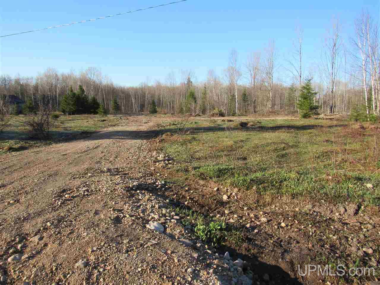 Tbd Tbd Mcmaster Road Skandia, MI 49885 - Photo 2 of 10