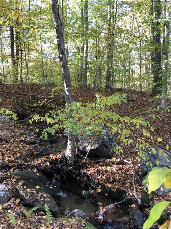 46-5 Old Wolcott Road Bristol, CT 06010 - Photo 1 of 1 Gallery Image 1
