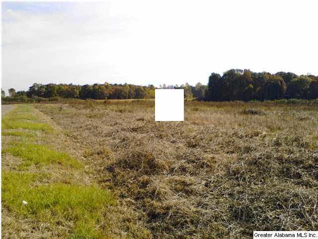 Banks Road, Unit 45 Roanoke, AL 36274 - Photo 1 of 1
