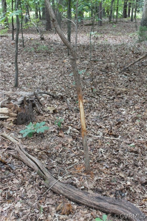 Tbd Clayton Road Powhatan, VA 23139 - Photo 3 of 9 Gallery Image 3