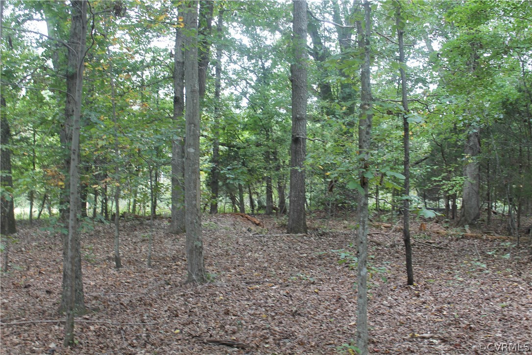 Tbd Clayton Road Powhatan, VA 23139 - Photo 4 of 9 Gallery Image 4