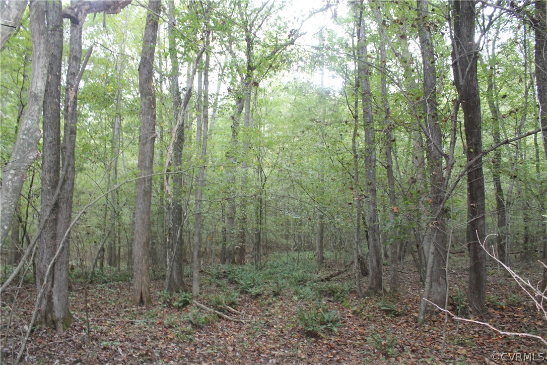 Tbd Clayton Road Powhatan, VA 23139 - Photo 6 of 9 Gallery Image 6
