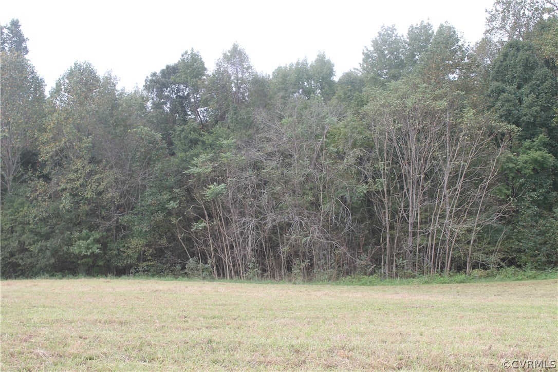 Tbd Clayton Road Powhatan, VA 23139 - Photo 7 of 9 Gallery Image 7