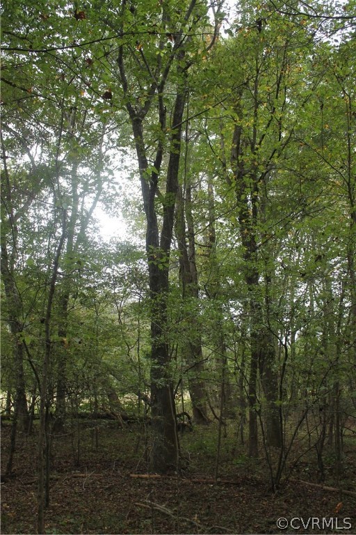 Tbd Clayton Road Powhatan, VA 23139 - Photo 8 of 9 Gallery Image 8