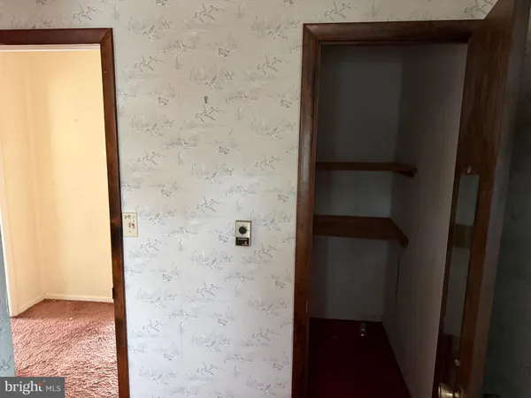 a white toilet sitting next to a shower