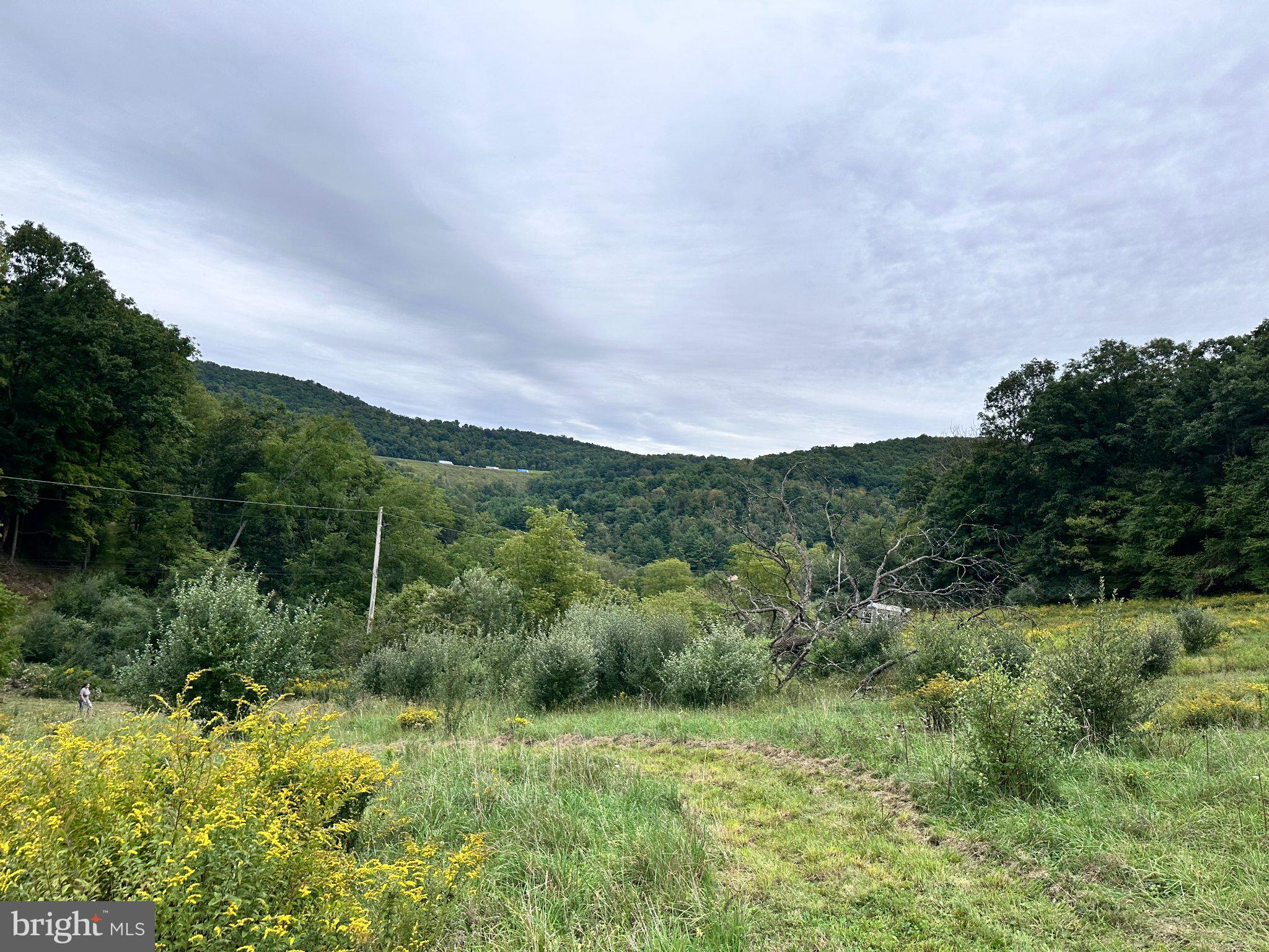 2052 Runville Road Bellefonte, PA 16823 - Photo 4 of 54 Gallery Image 4