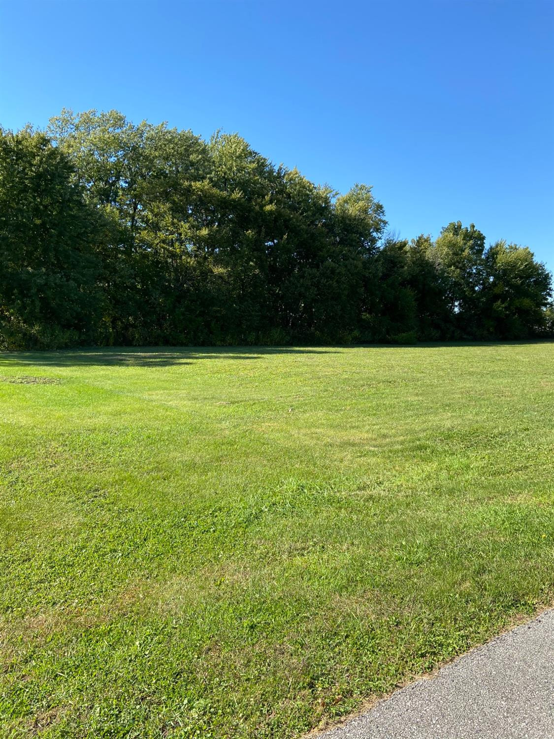 1007 North Scott Street Rensselaer, IN 47978 - Photo 1 of 1 a view of a field with an ocean