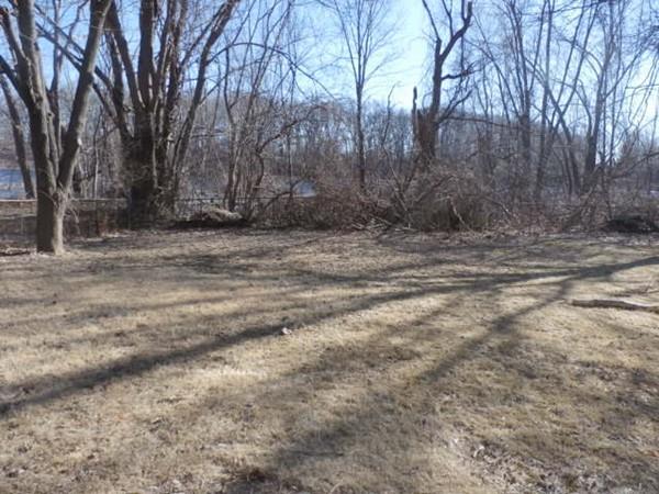 57 Maynard Road Dedham, MA 02026 - Photo 4 of 16 Gallery Image 4