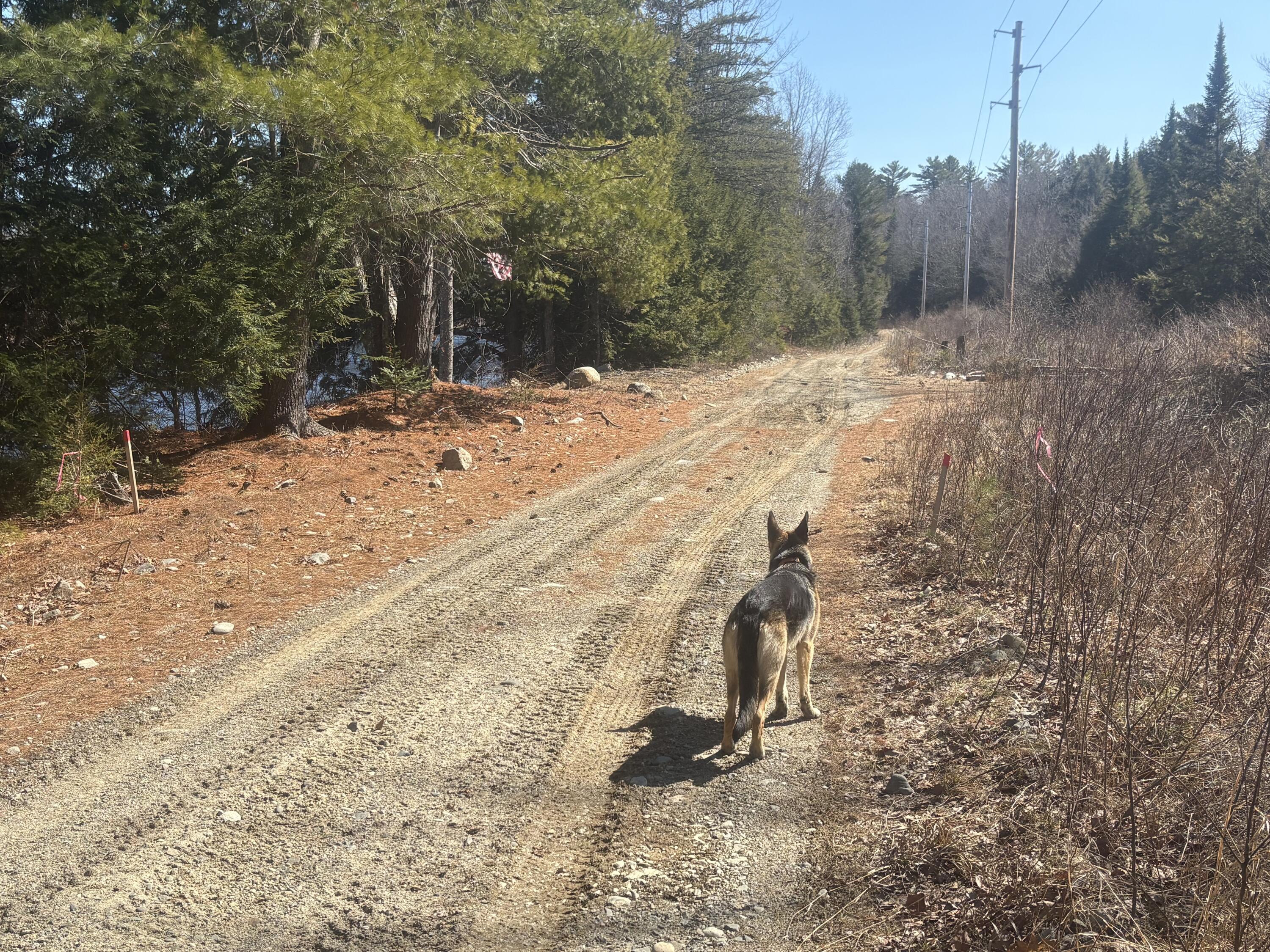 Lot 4 West Indian Road Lincoln, ME 04457 - Photo 25 of 29