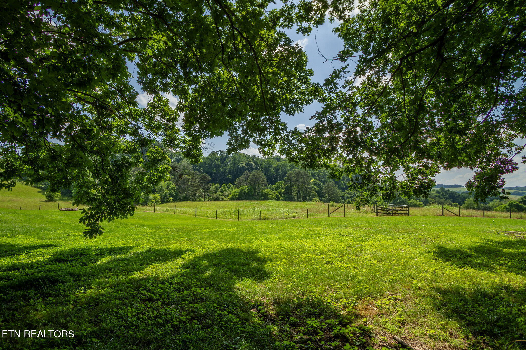 1435 Collins Road New Market, TN 37820 - Photo 6 of 58 IMG_1397-HDR