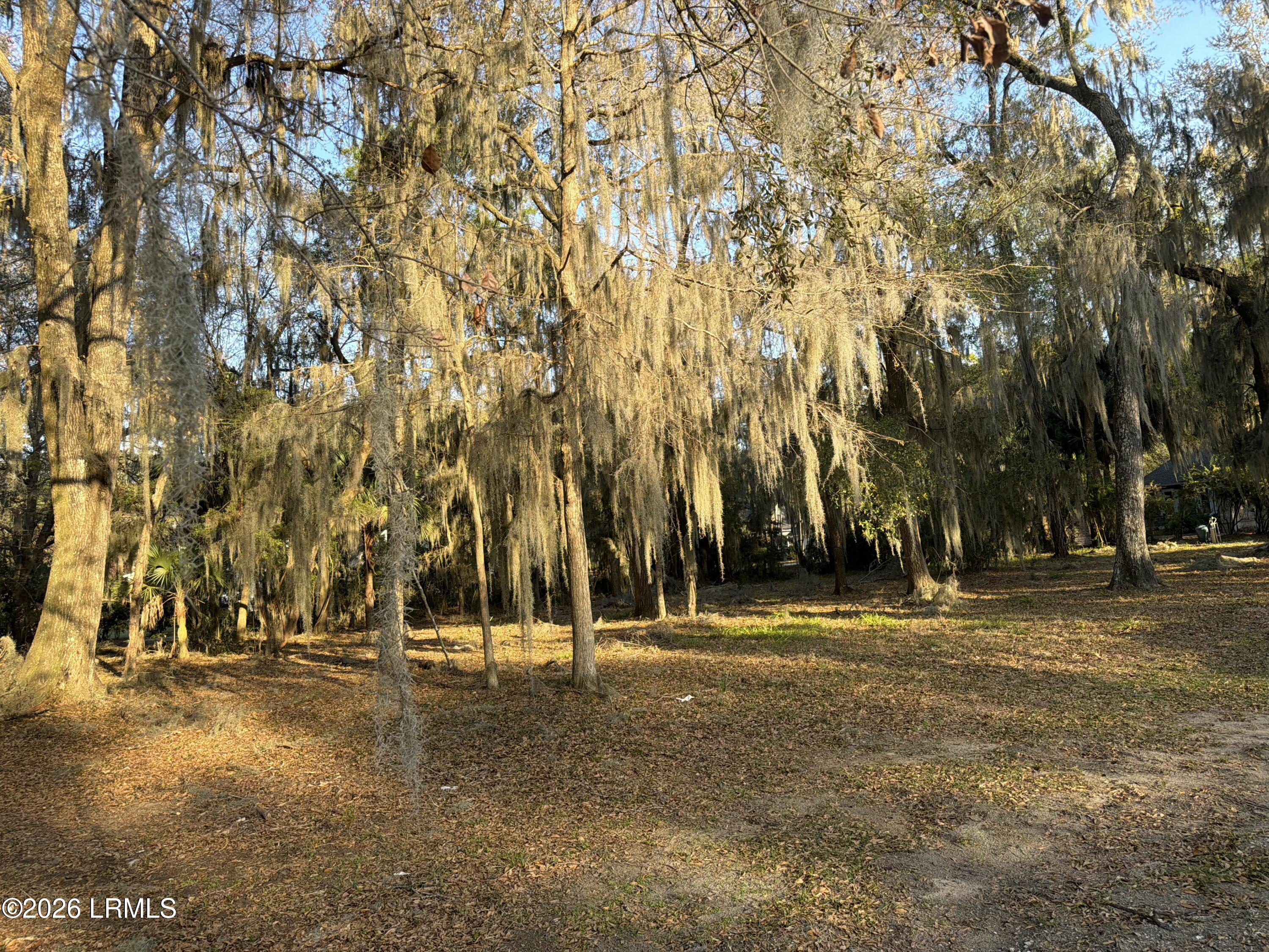 2 Woodland Ridge Circle Beaufort, SC 29907 - Photo 1 of 18 79565115879__F9070E2A-42DE-4B44-8FCF-9FE