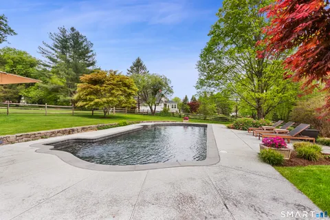 a view of a garden with large trees