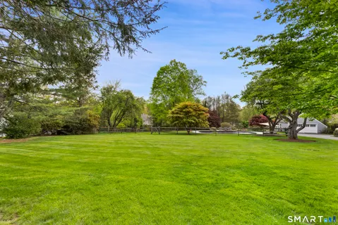 a view of a trees in a yard