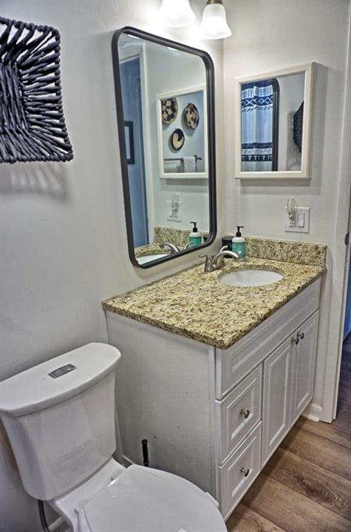 21052 Little Magens Loop Lutz, FL 33558 - Photo 32 of 46 a bathroom with a granite countertop toilet sink and mirror