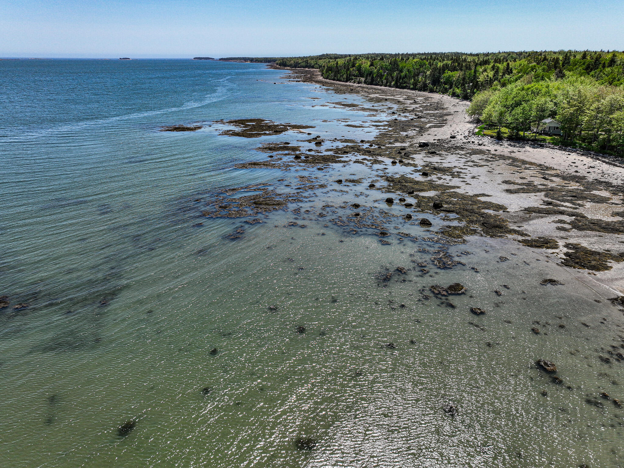 19 Peninsula Shore Road Corea, ME 04624 - Photo 25 of 41 DJI_0704