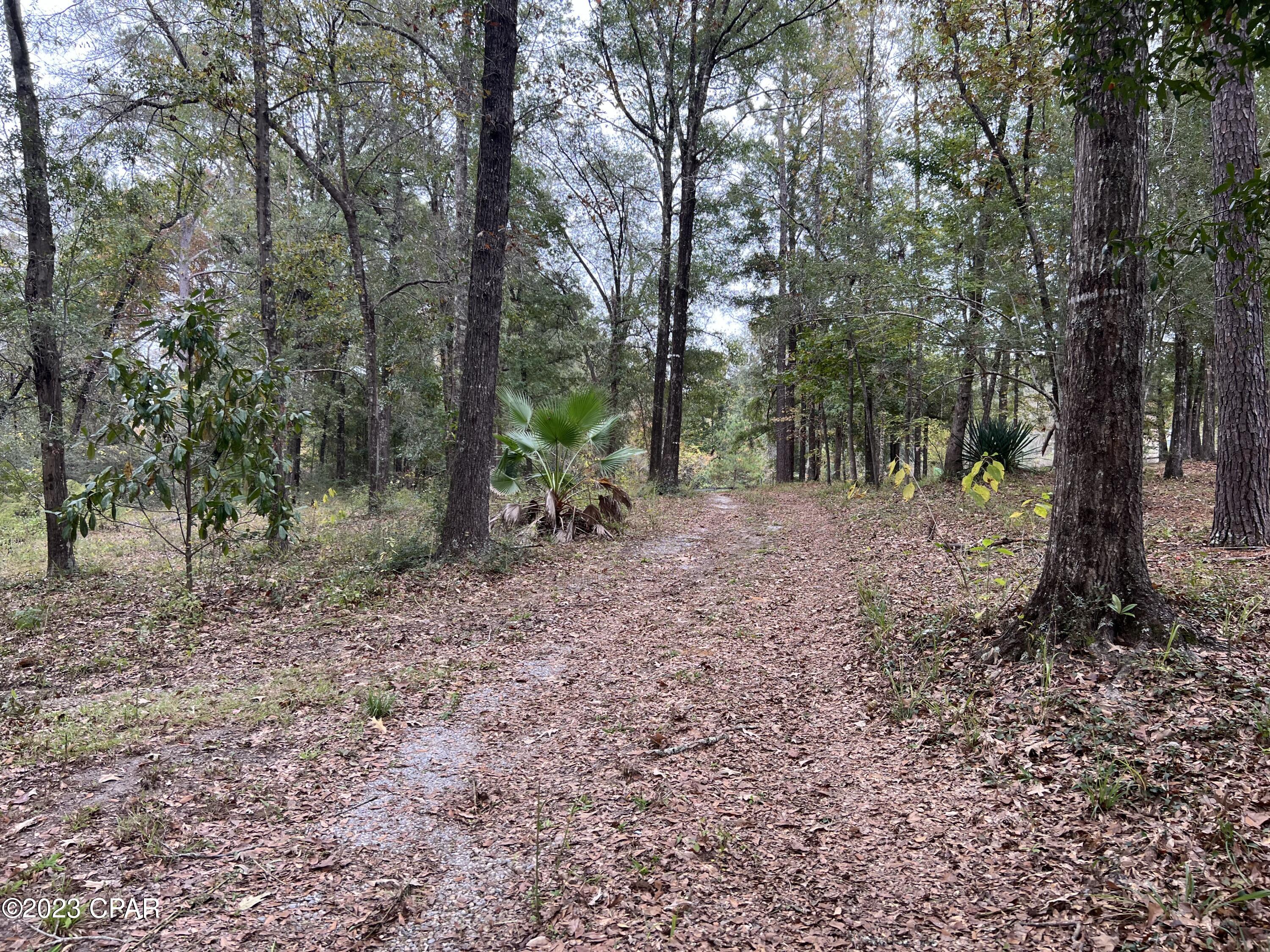 3354 Spring Lakes Drive Chipley, FL 32428 - Photo 14 of 23 Gallery Image 14