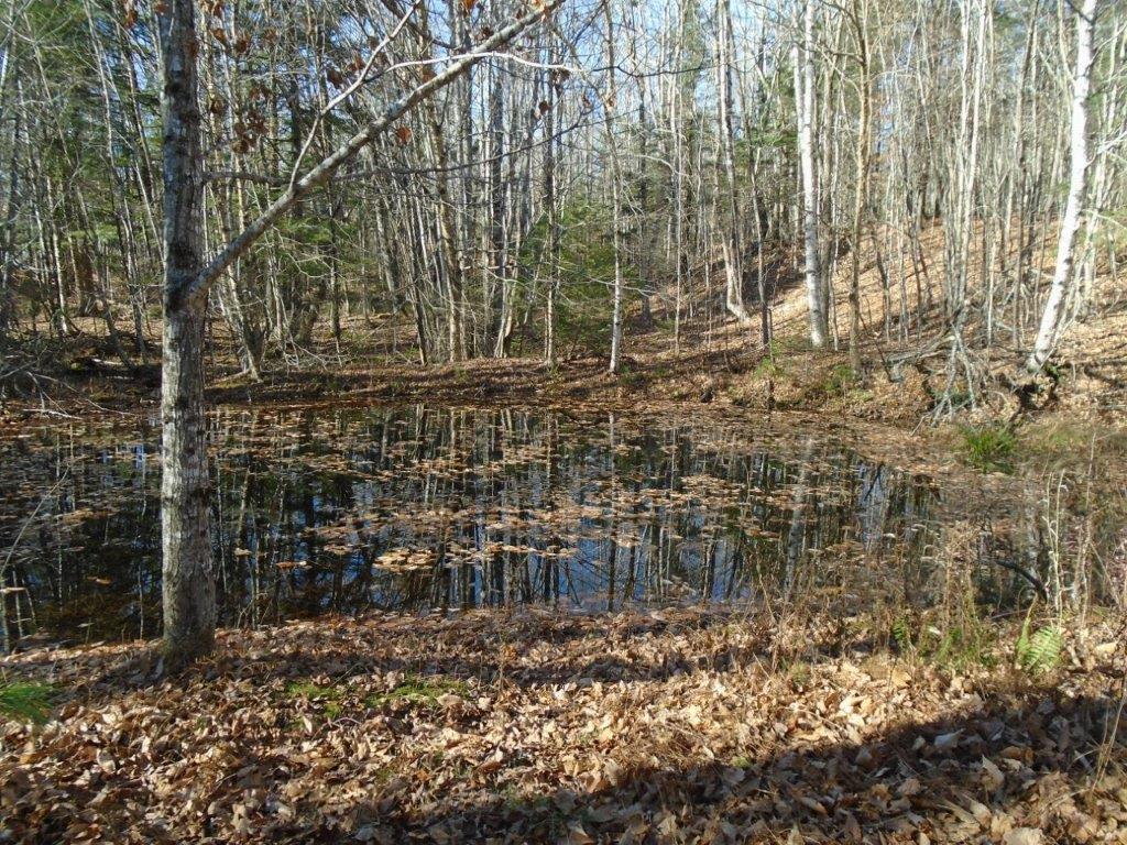 589 Belfast Road Freedom, ME 04941 - Photo 23 of 30 Pond