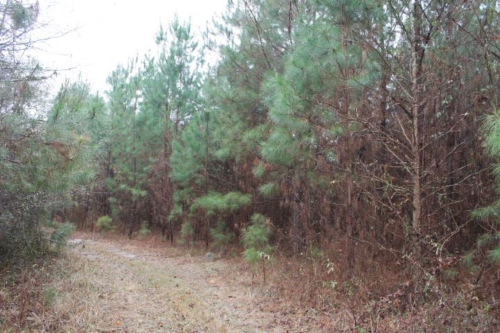 0 Syrup Mill Road Coward, SC 29530 - Photo 1 of 1 Gallery Image 1