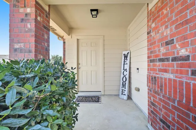 a view of a potted plant in front of a building