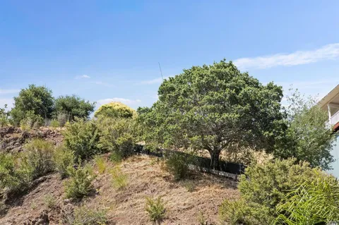 a view of a field