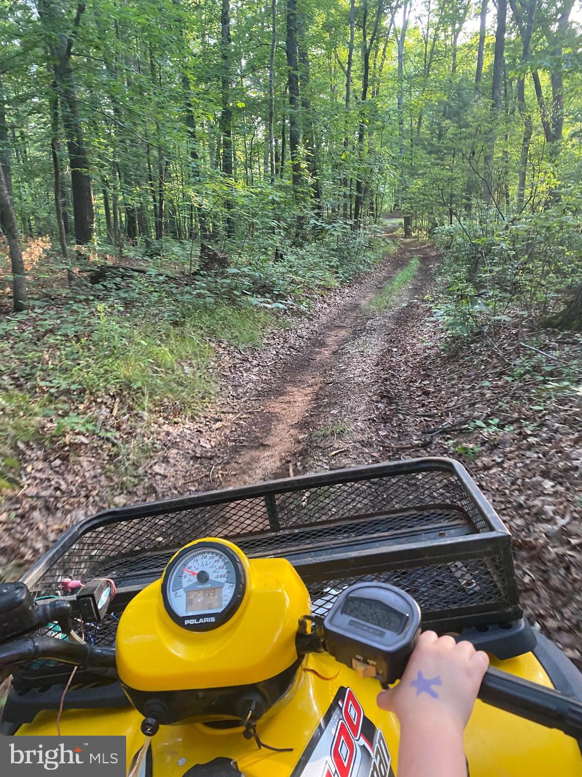 11960 Alum Springs Road Culpeper, VA 22701 - Photo 52 of 57 4 wheel trails