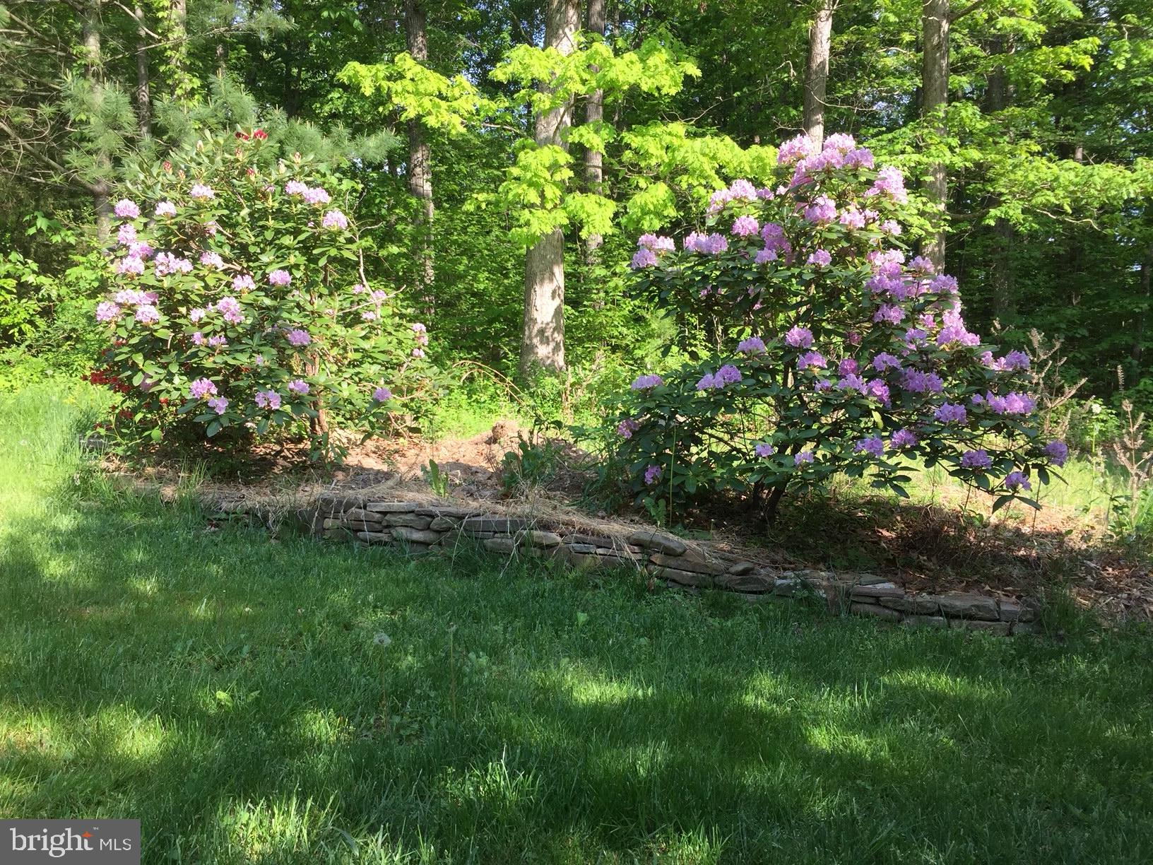 11960 Alum Springs Road Culpeper, VA 22701 - Photo 55 of 57 Landscaping