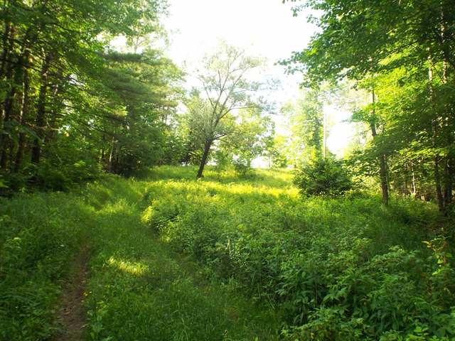 3.6-acre Maywood Road Deerbrook, WI 54424 - Photo 12 of 20 Gallery Image 12
