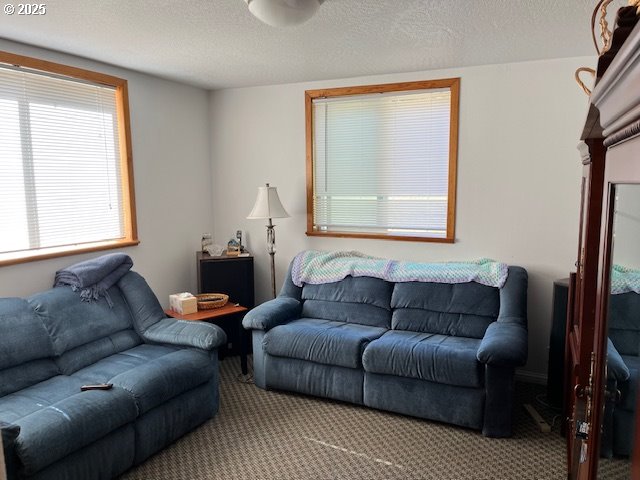 78544 Rat Creek Road Cottage Grove, OR 97424 - Photo 16 of 44 a living room with furniture and a window