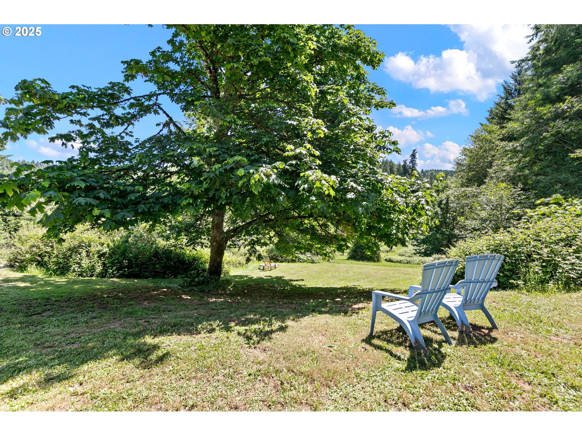 78544 Rat Creek Road Cottage Grove, OR 97424 - Photo 41 of 44 a backyard of a house with table and chairs