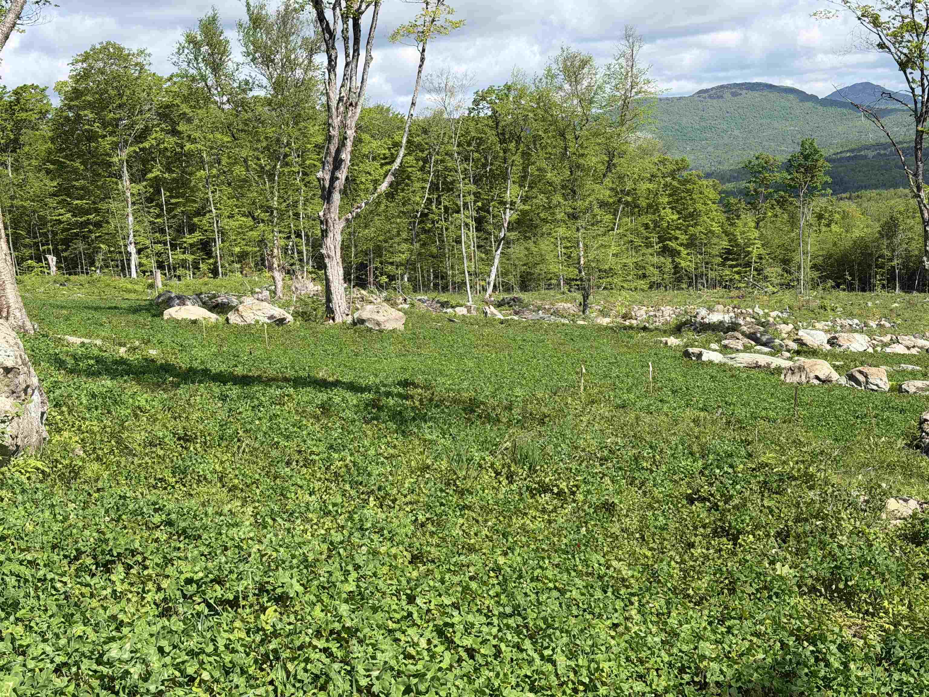 842 Gibbs Road, Unit LOT 1 Newport Town, VT 05857 - Photo 8 of 14