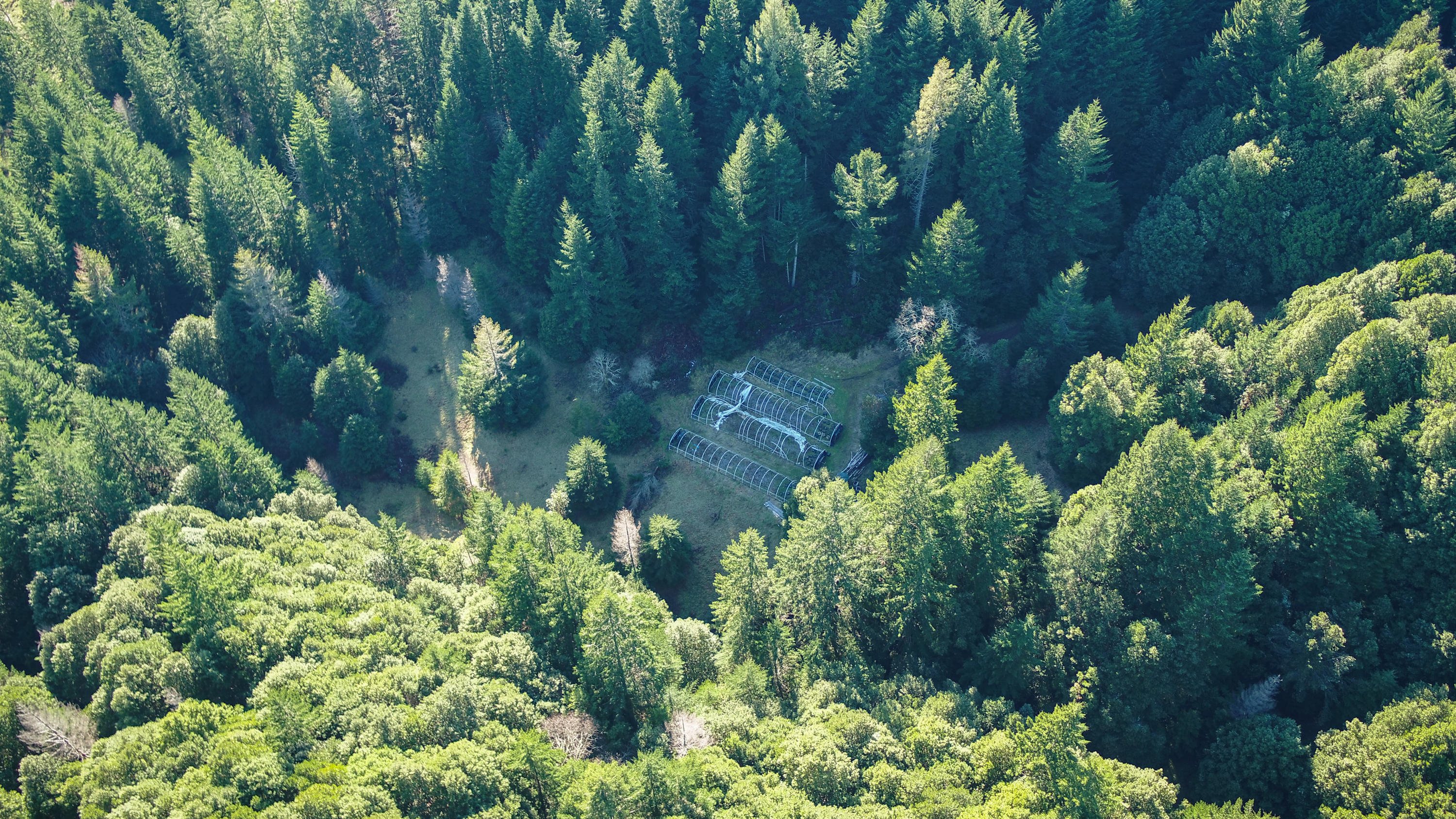 160-acres Butte Creek Road Kneeland, CA 95549 - Photo 42 of 56