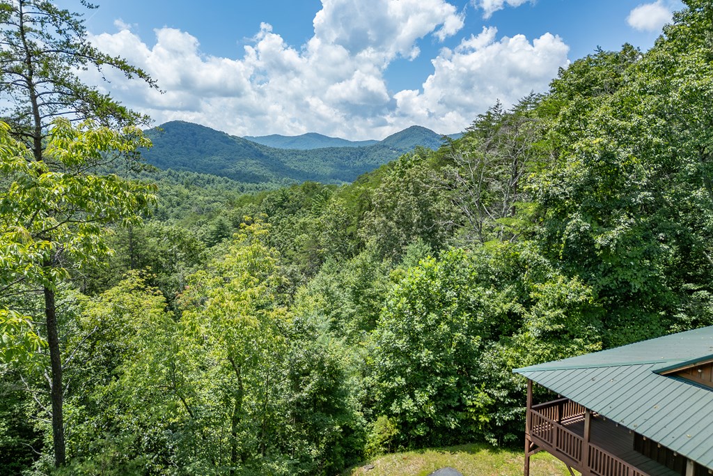 1450 Ritchie Creek Road Blue Ridge, GA 30513 - Photo 56 of 57 Gallery Image 56