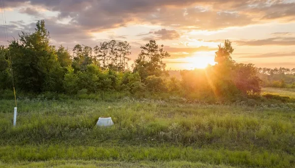 an aerial view of residential house and ocean